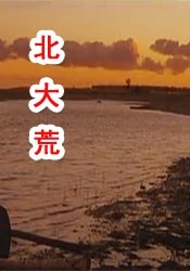 成人久久精品